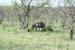 0158-Reis Zuid-Afrika2007